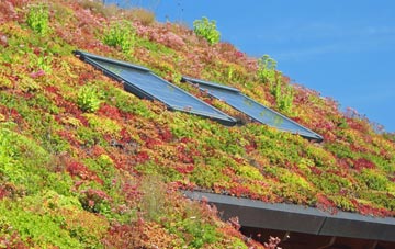 Tomlow living roof systems
