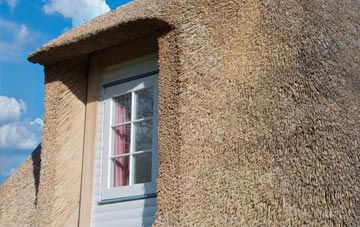 Tomlow thatch roof disadvantages