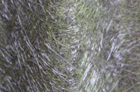 Tomlow fibreglass roof work